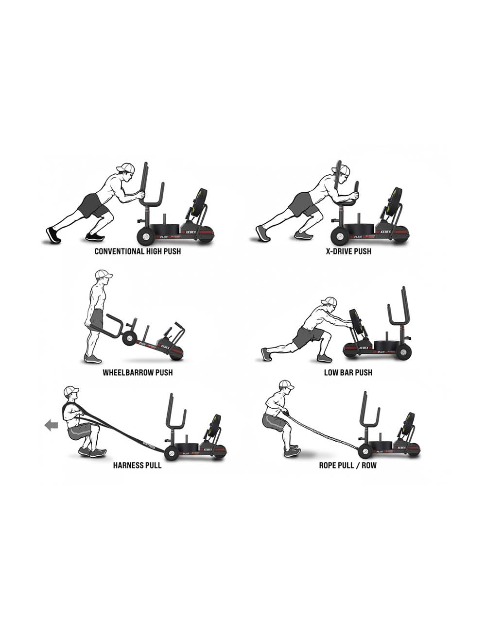 Xebex XT3 Plus Sled V2 - Schlitten für jeden Untergrund