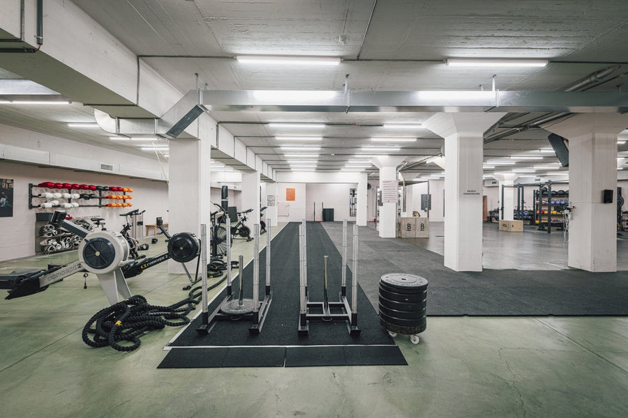 Balboa Underground in Zürich: lange Trainingshalle mit Bahnen, Concept2 RowErg und Scheibenwagen