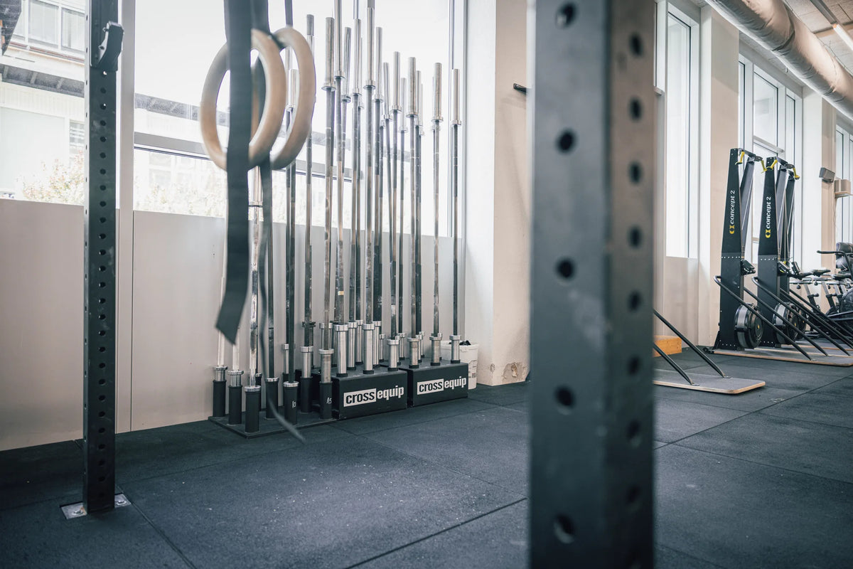 Ringe und Langhantelstangen am Rig von cross equip bei CrossFit Limmatstadt in Zuerich