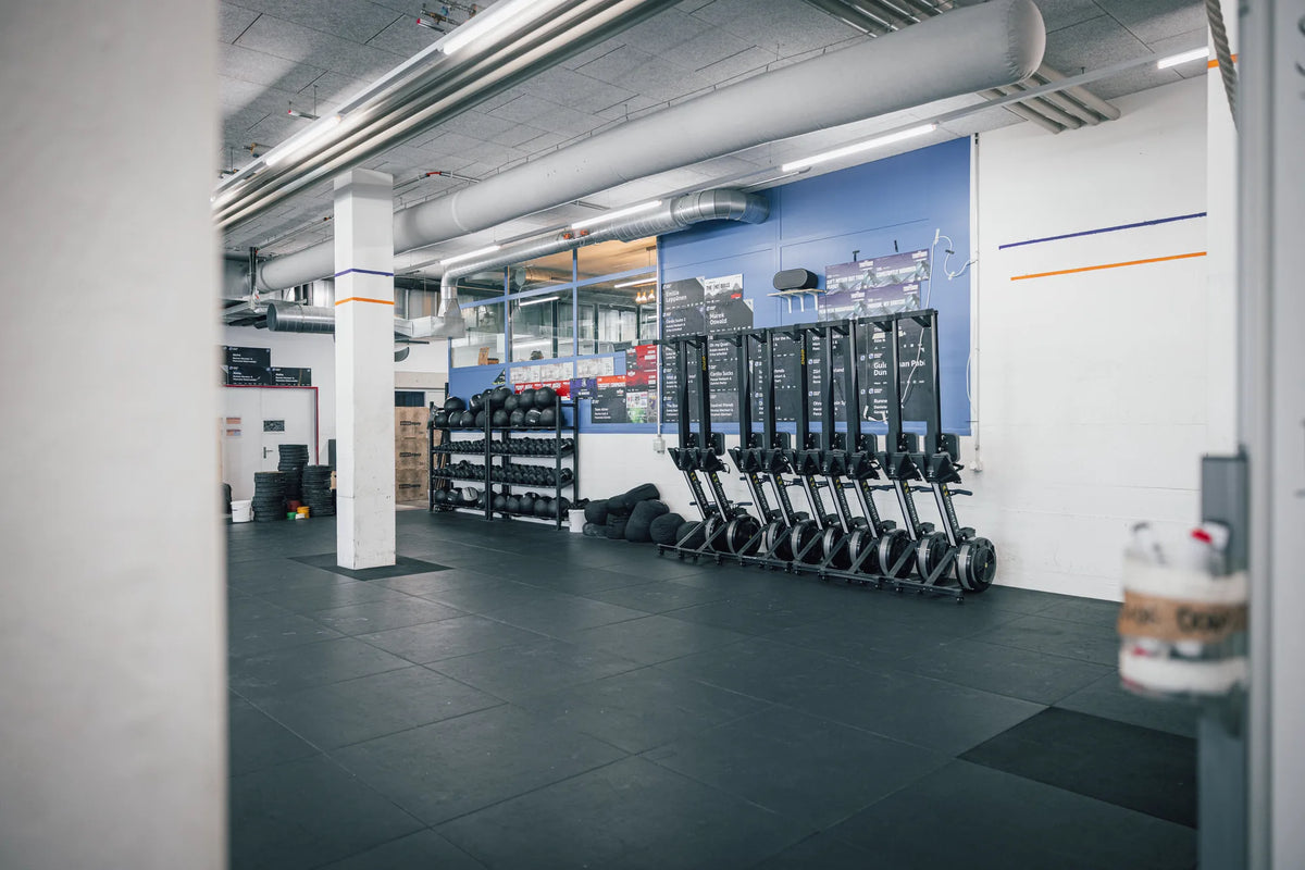 Reihe von SkiErgs in der Trainingshalle von CrossFit Limmatstadt in Zuerich