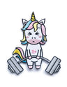 Einhorn Velcro Patch - cross equip