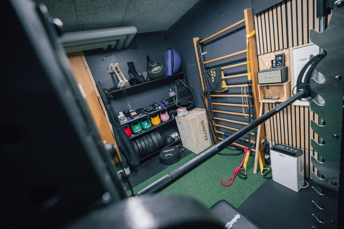 Sprossenwand, Kettlebells und Plyo-Box im Home Gym in Reichenburg SZ